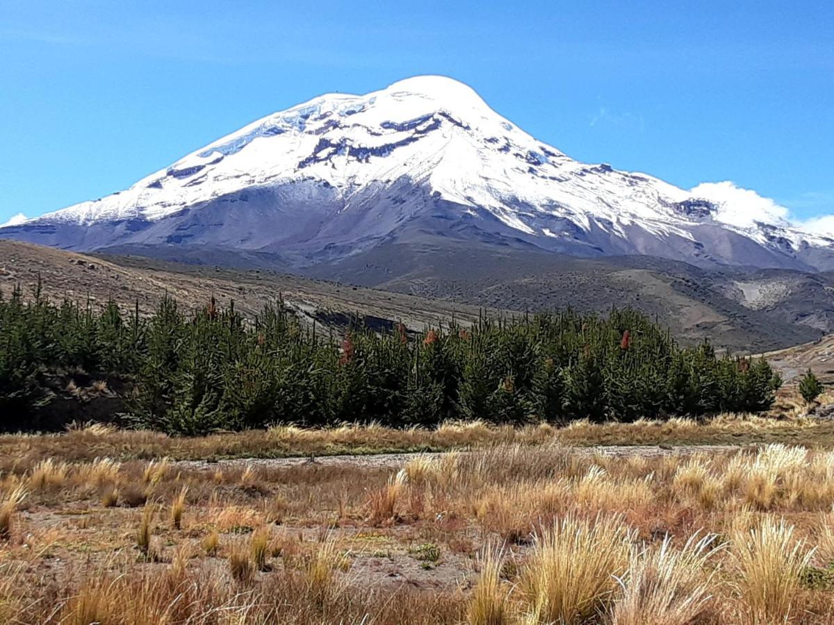 Hospedaje Chimborazo ภายนอก รูปภาพ