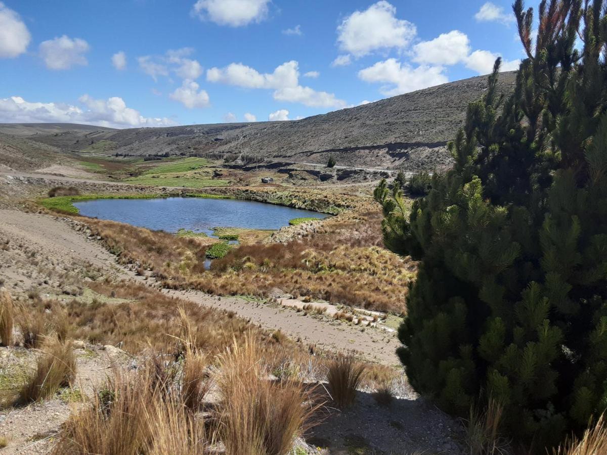 Hospedaje Chimborazo ภายนอก รูปภาพ