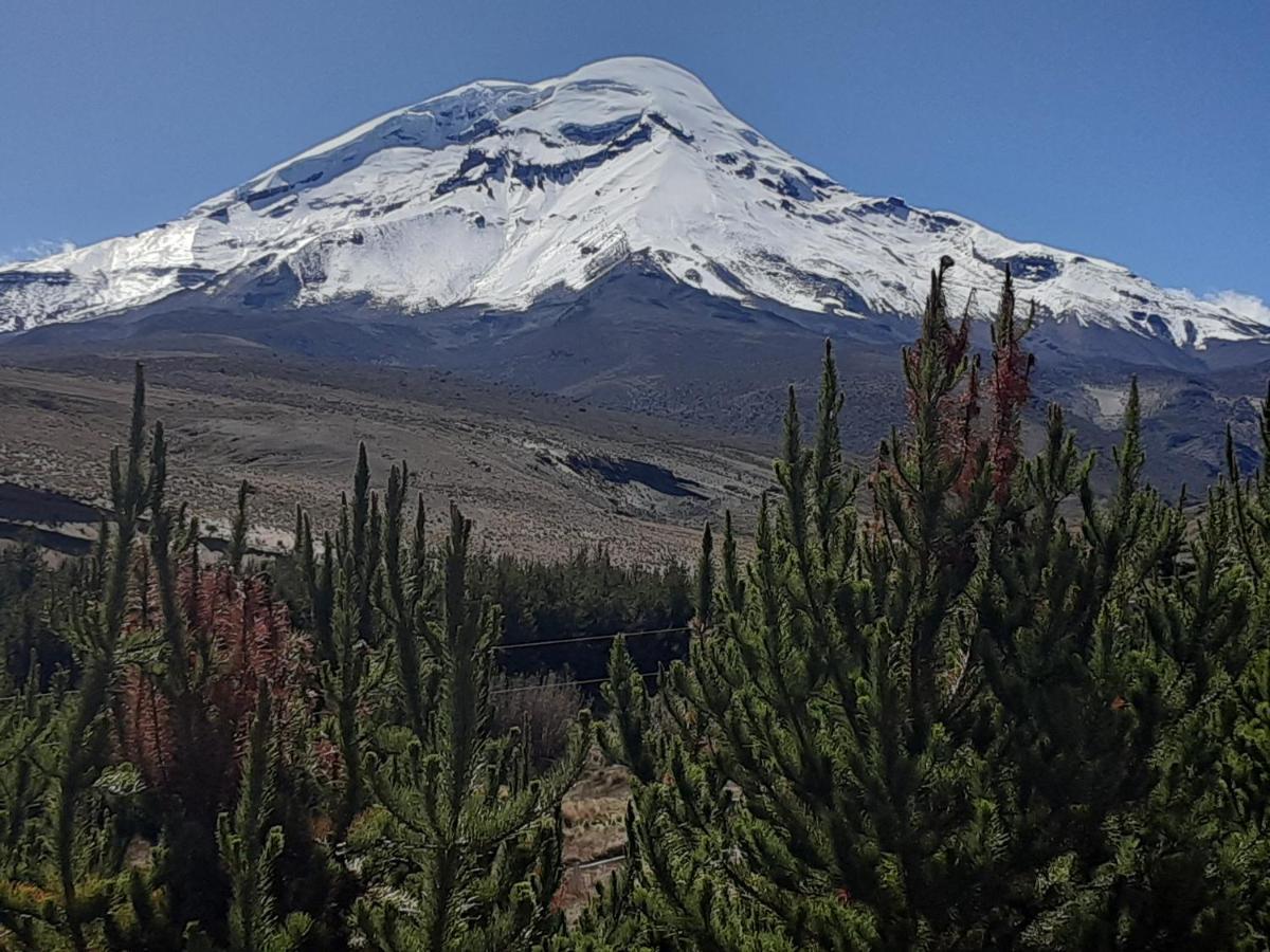 Hospedaje Chimborazo ภายนอก รูปภาพ